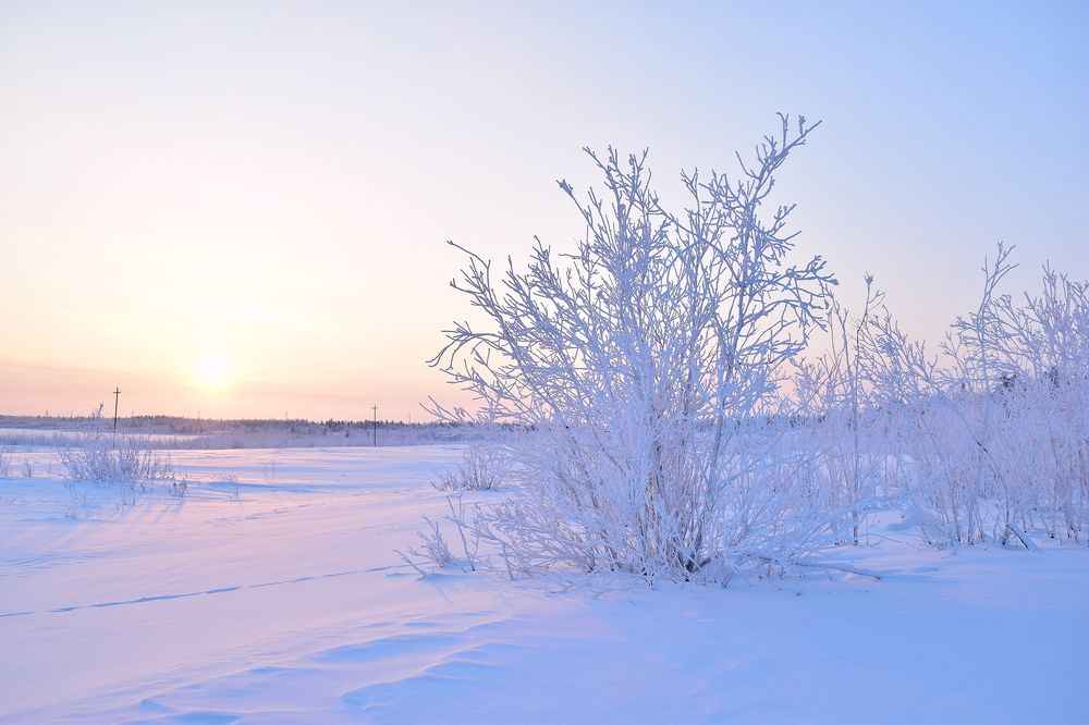 Зимнее утро