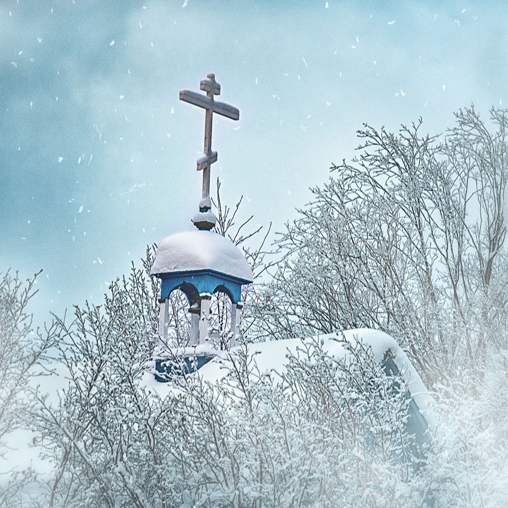 Photograph by Romanova Tatyana