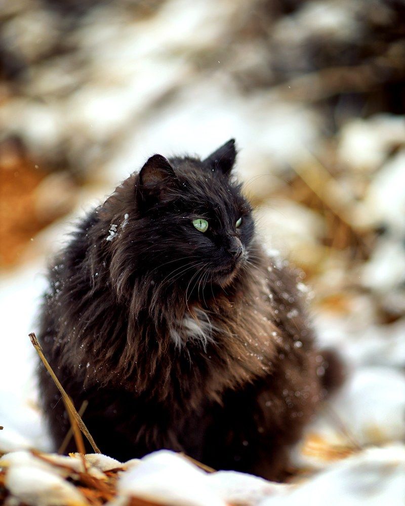 Photograph by Ольга Левина