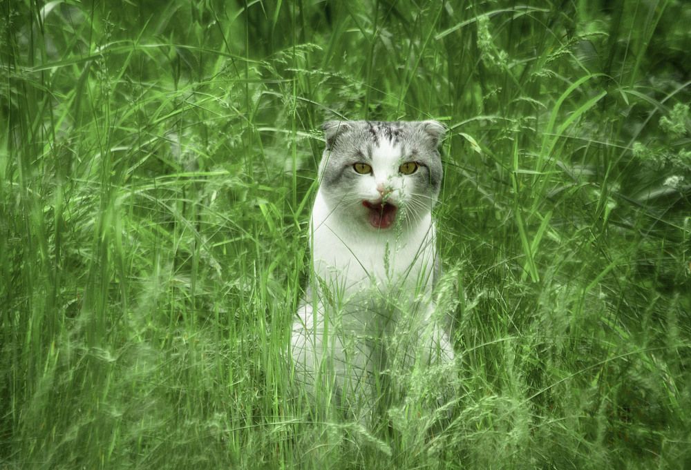 Photograph by Юлия Лушникова