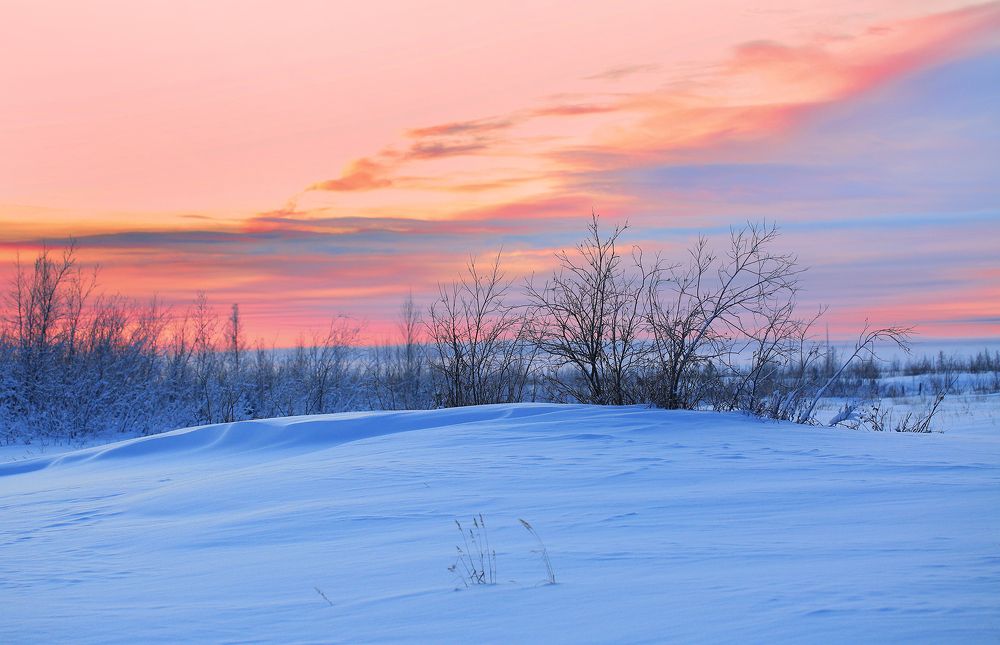 Розовый закат