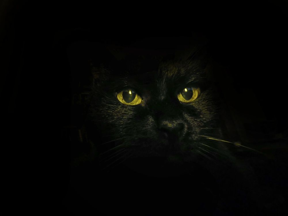 Photograph by Александр Козленков