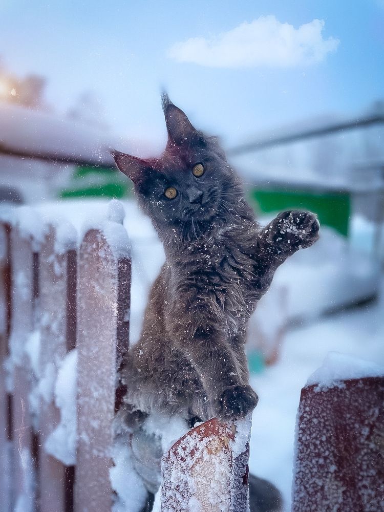 Photograph by Marina Ivanova