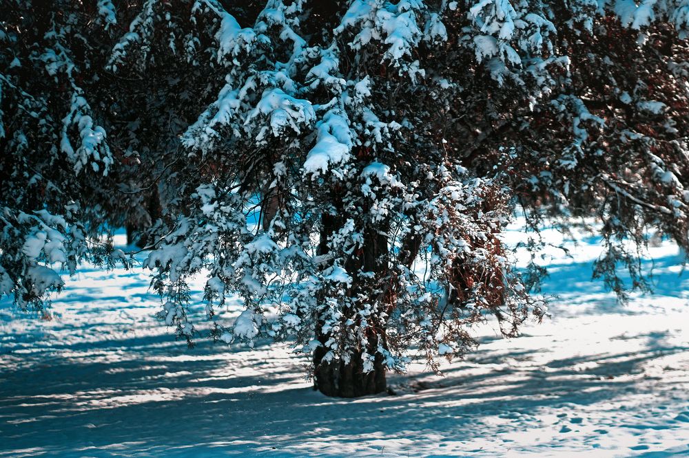 Photograph by Сергей Удовиченко