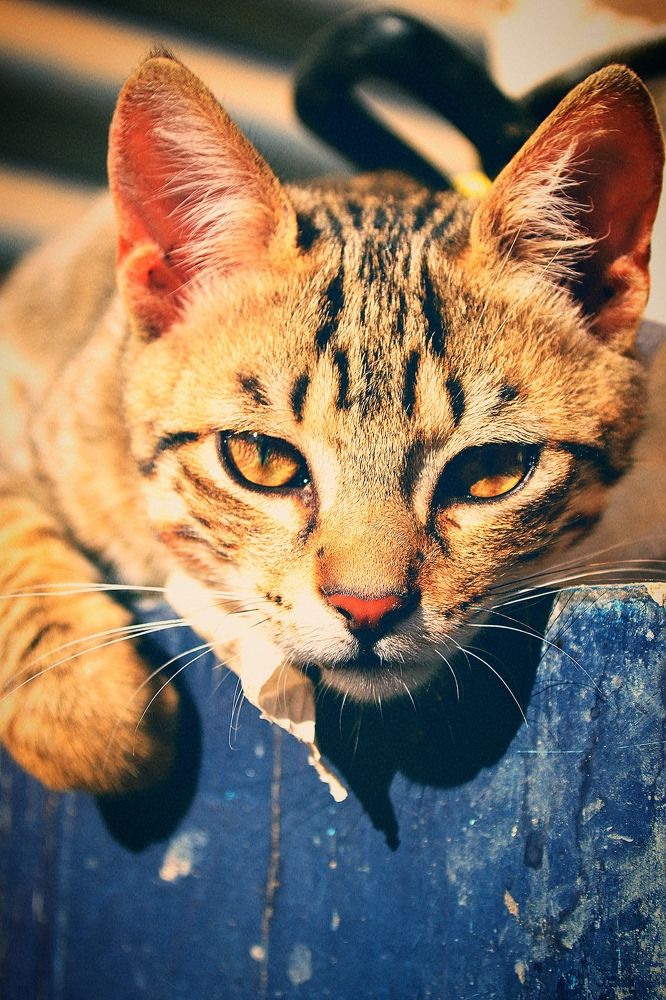 Photograph by Sakhria Mbarki