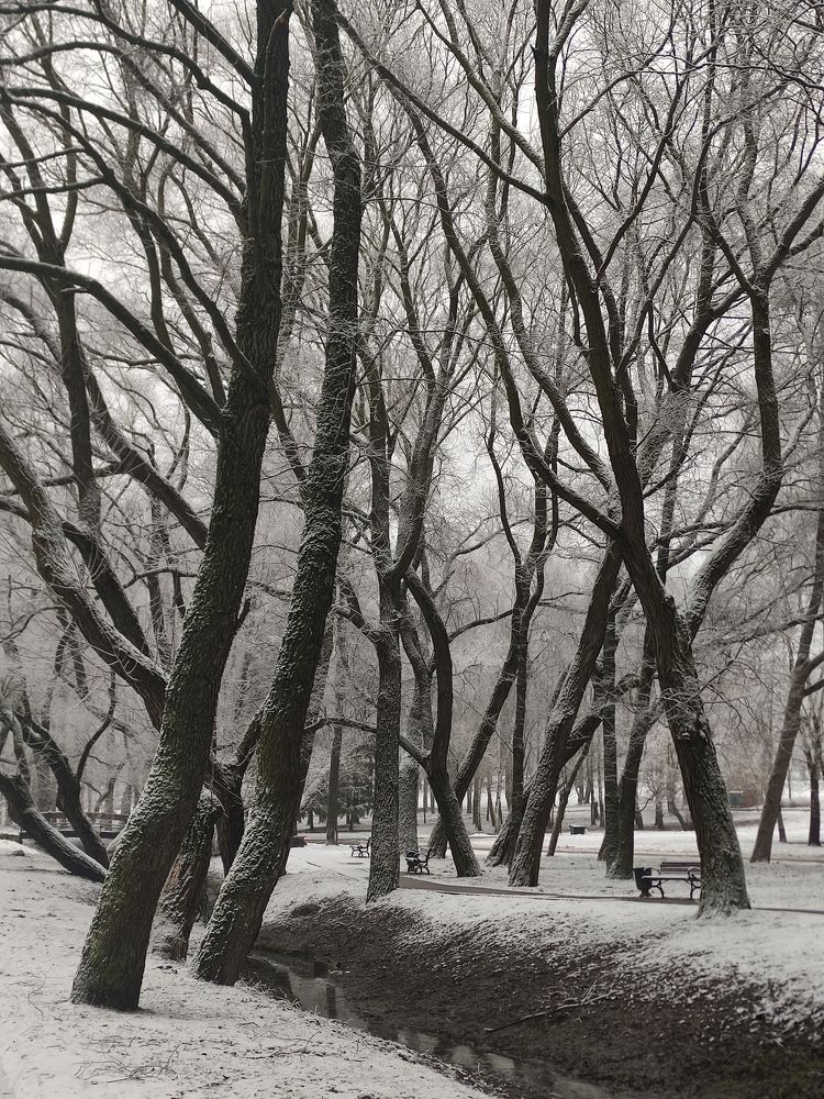 Photograph by Ирина Подлубная