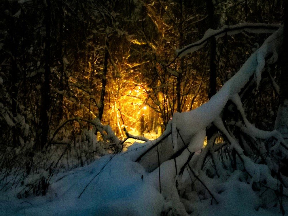 Photograph by Александр Козленков