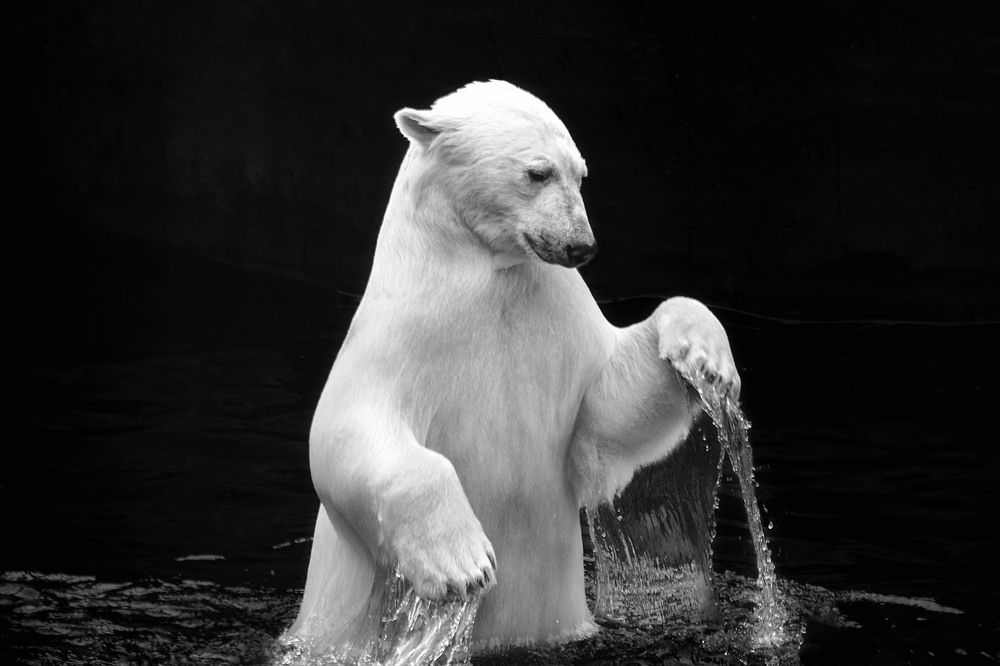 Photograph by Юлия Лушникова