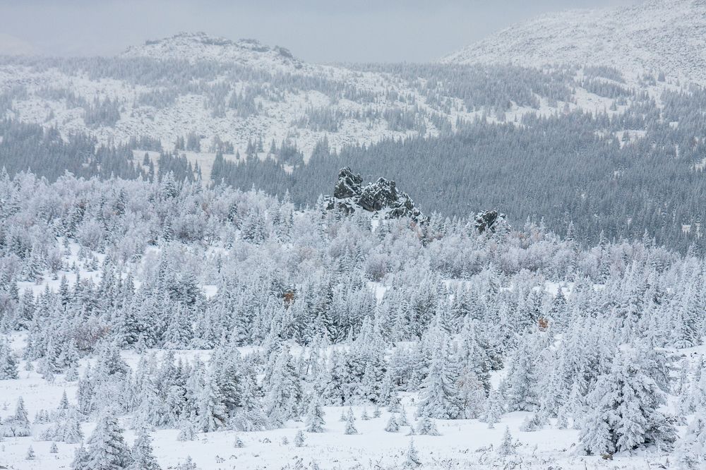Photograph by Евгений Москвин