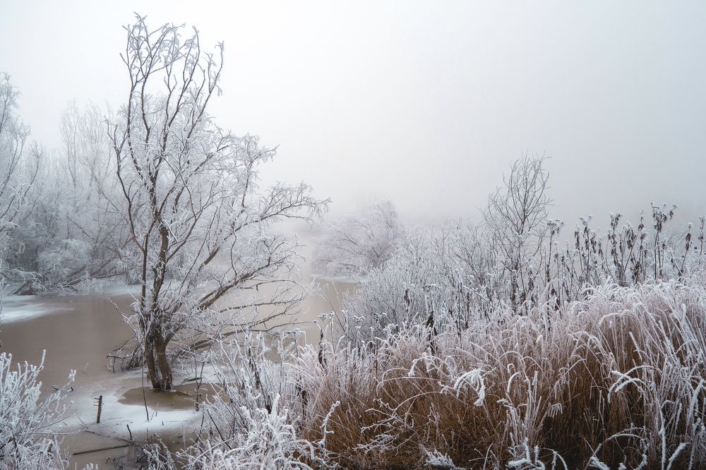 Фотография автора Вадим Коваленко