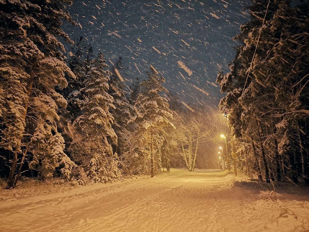 Photograph by Владимир Прорешный