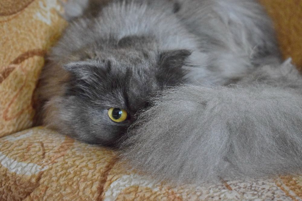 Photograph by Надежда Коновалова