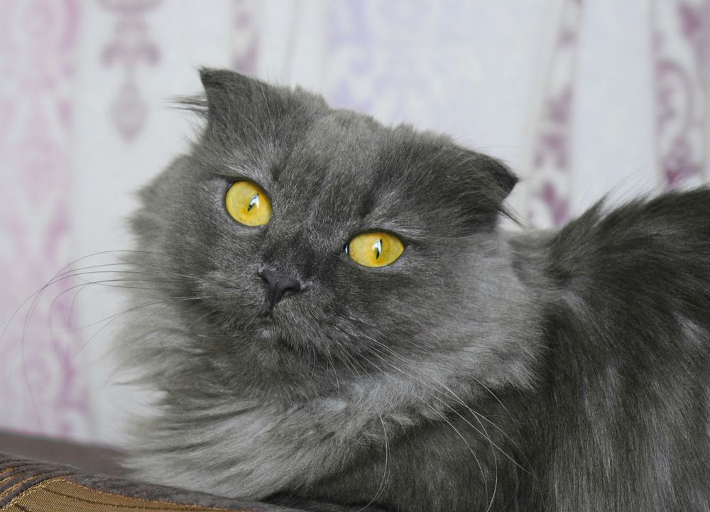 Photograph by Надежда Коновалова