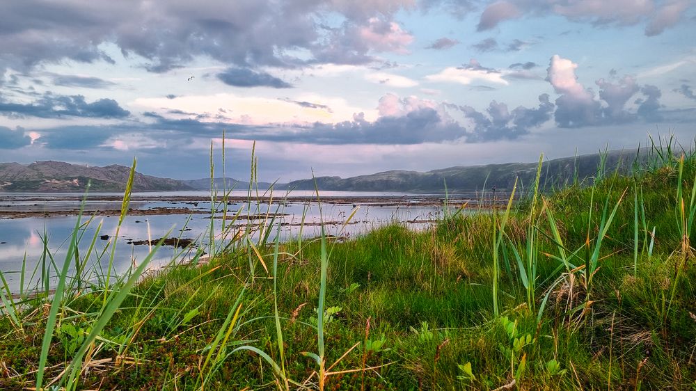 Photograph by Анна Васильева