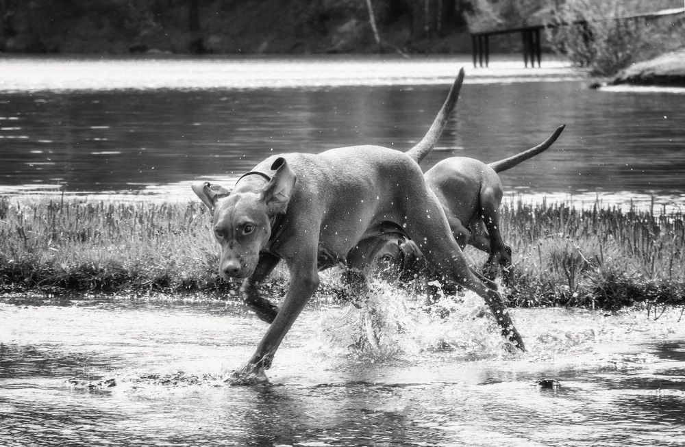 Photograph by Юлия Лушникова