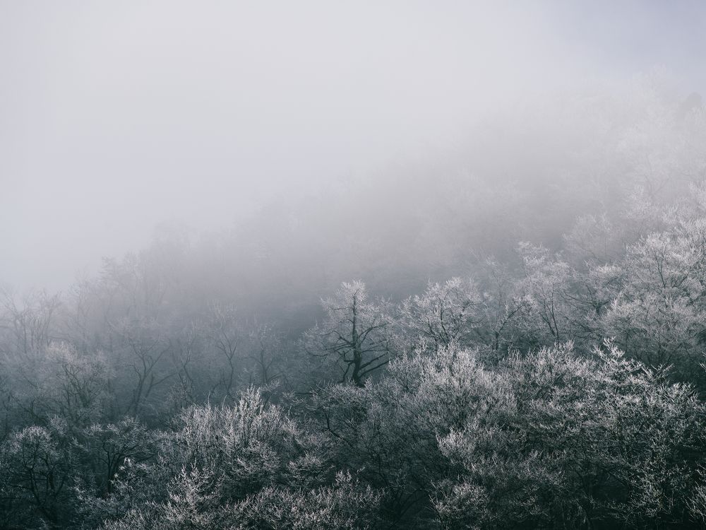 Photograph by Роман Колодяжный