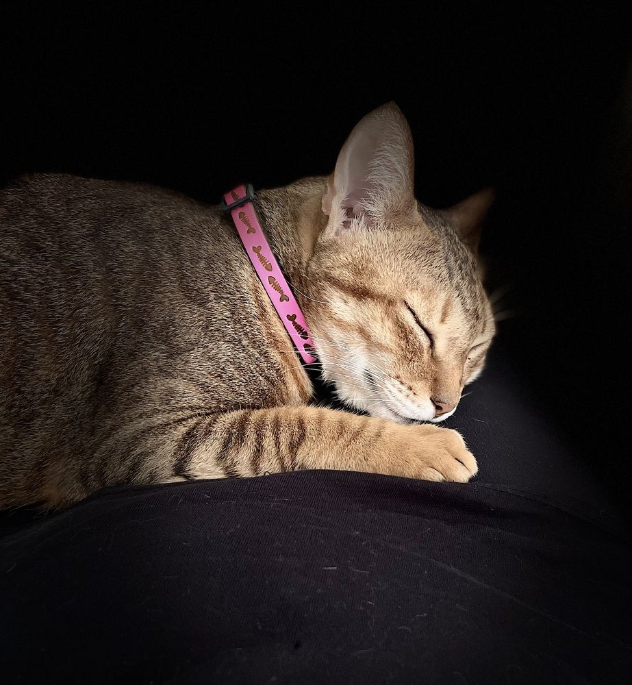 Photograph by Sandra Bruttomesso