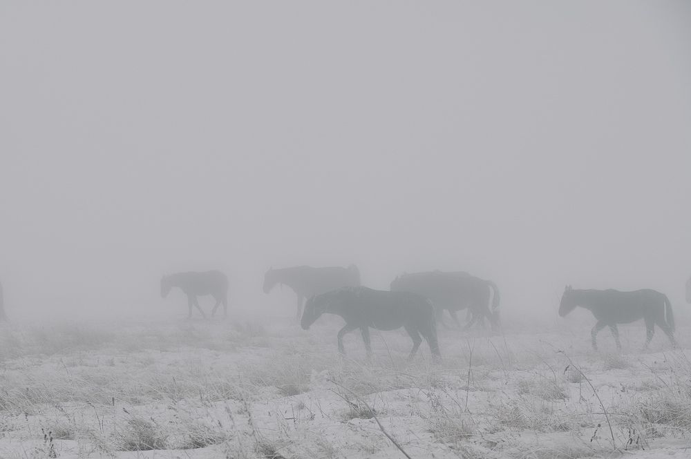Photograph by Роман Колодяжный