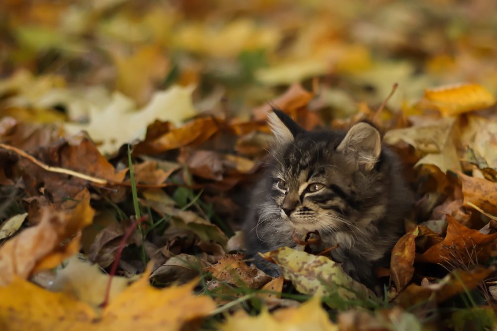 Photograph by Надежда Колтакова