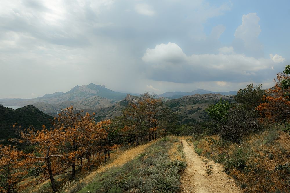 Photograph by Алексей Баженов