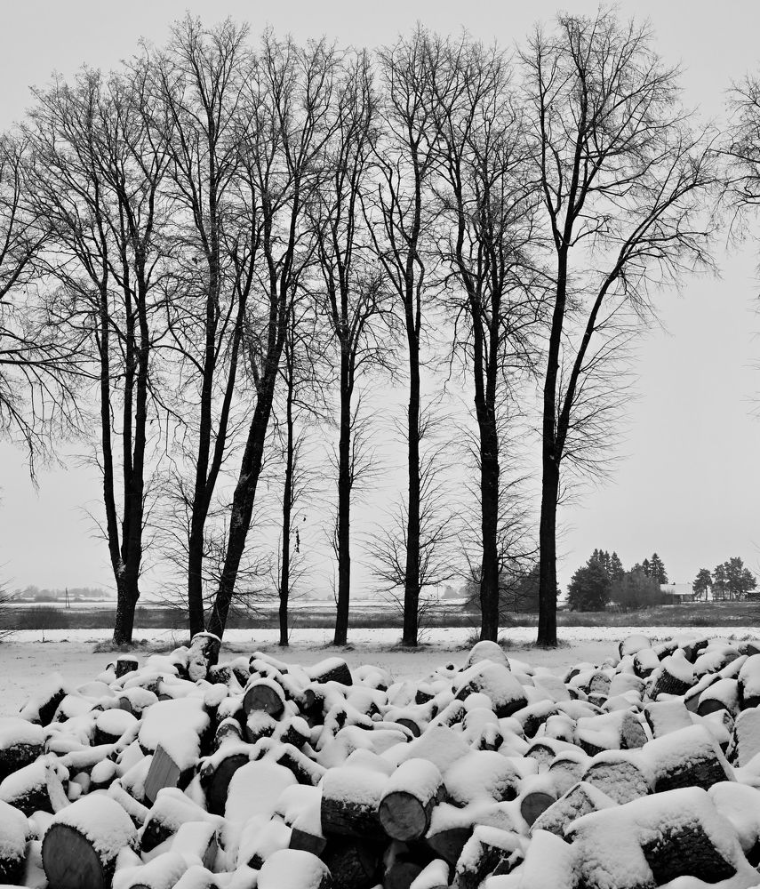 Photograph by Аудрюс Балчетис