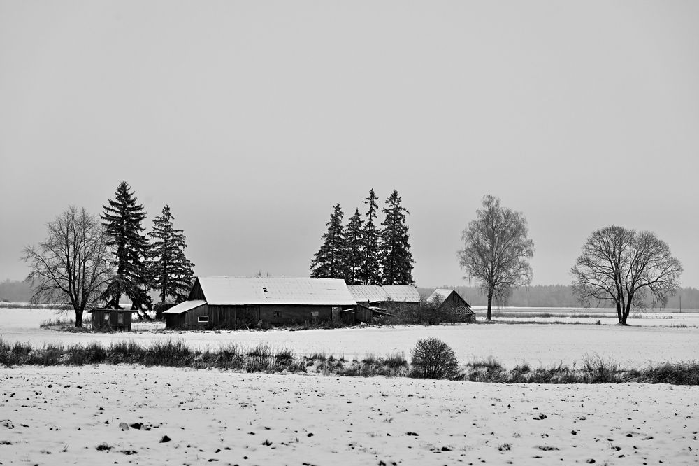 Photograph by Аудрюс Балчетис