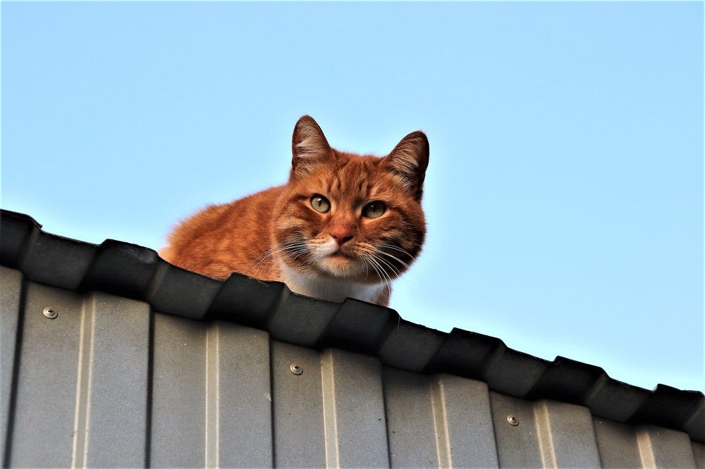 Photograph by Федоренко Элеонора