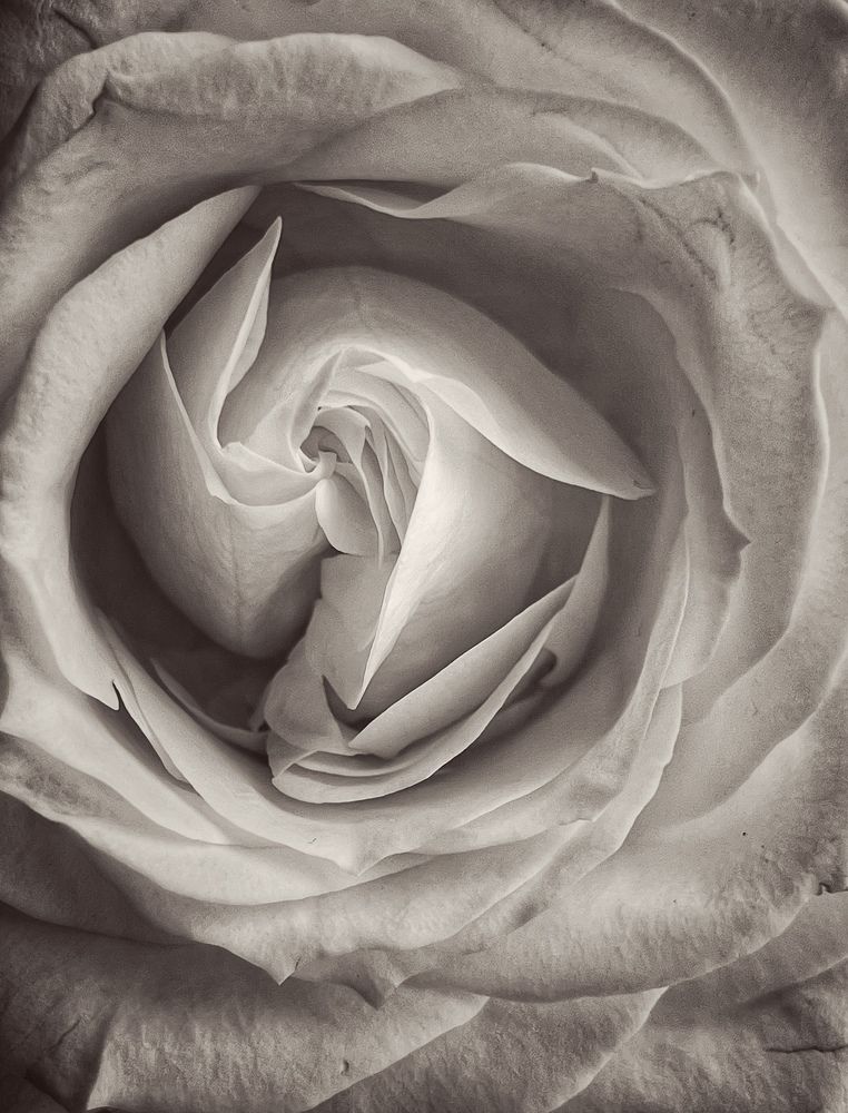 Photograph by Кира Бахвалова