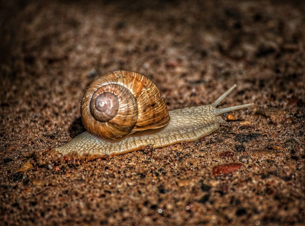 Photograph by Leanid Kulpo