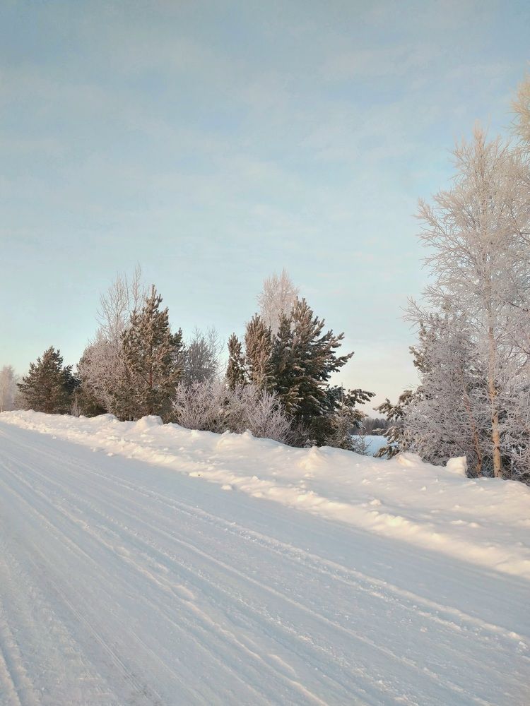 Photo #8735177