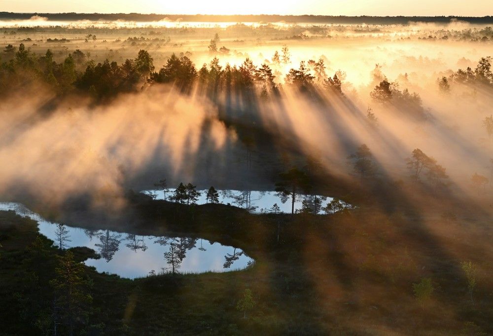 Photograph by IJA REIMAN