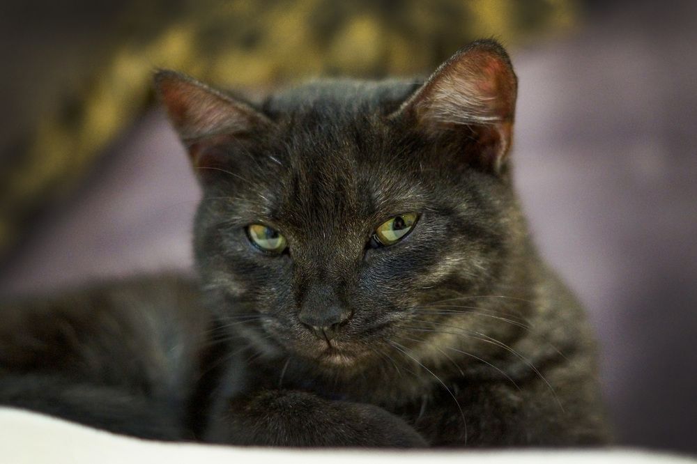 Photograph by Олег Чубайкин