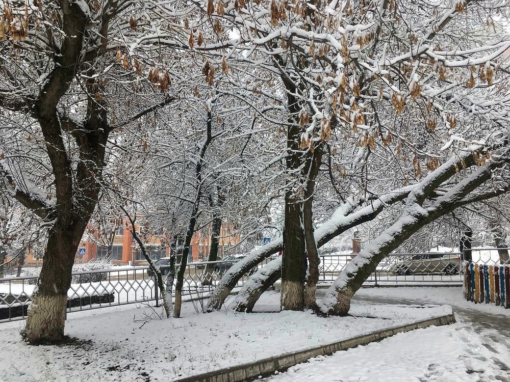 Photograph by Igor Filipenko