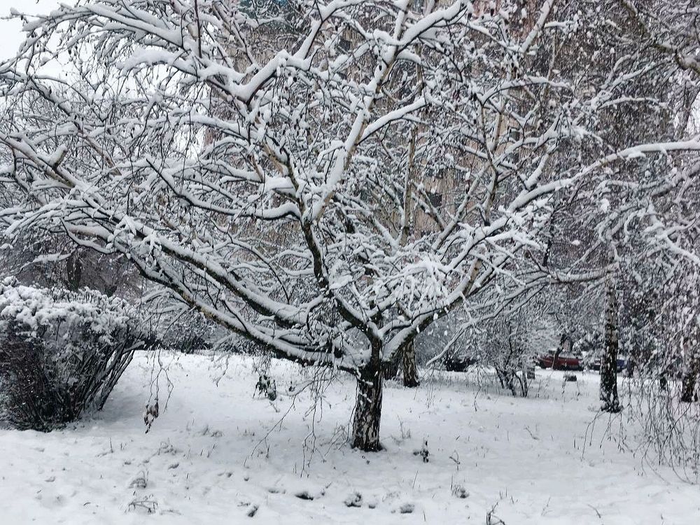 Photograph by Igor Filipenko