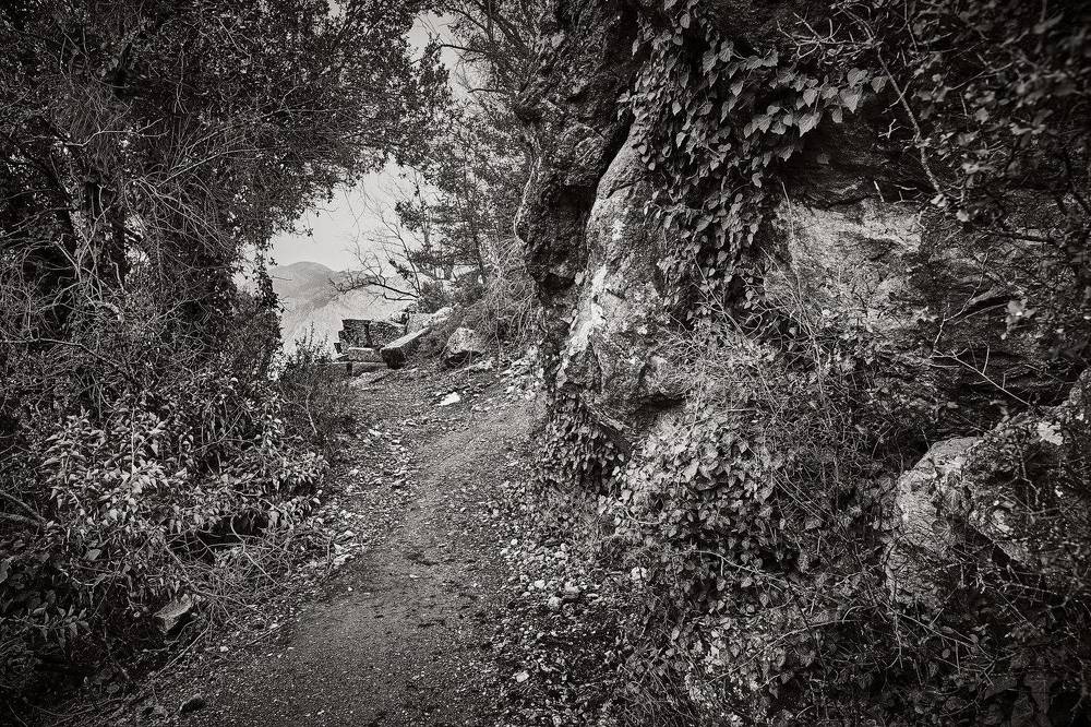 Берег турецкий