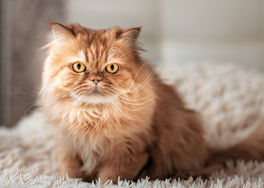 Photograph by Сергей Калинин