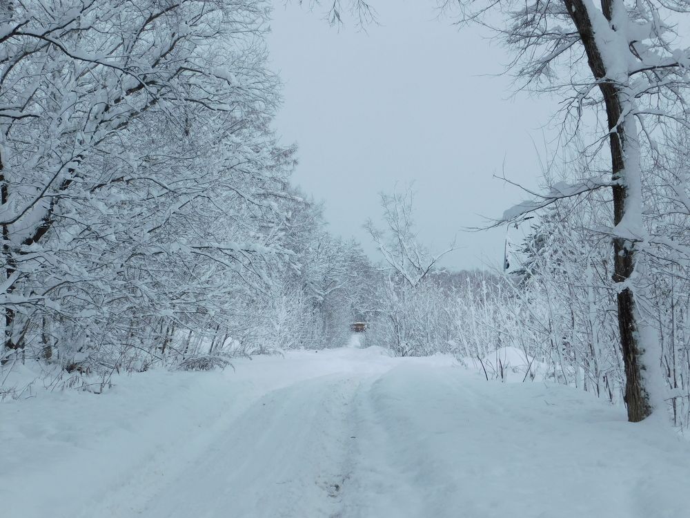 Photograph by Алексей Исаченко