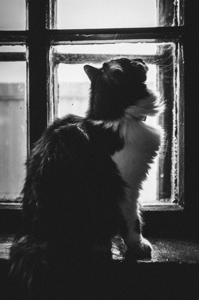 Photograph by Татьяна Позняк