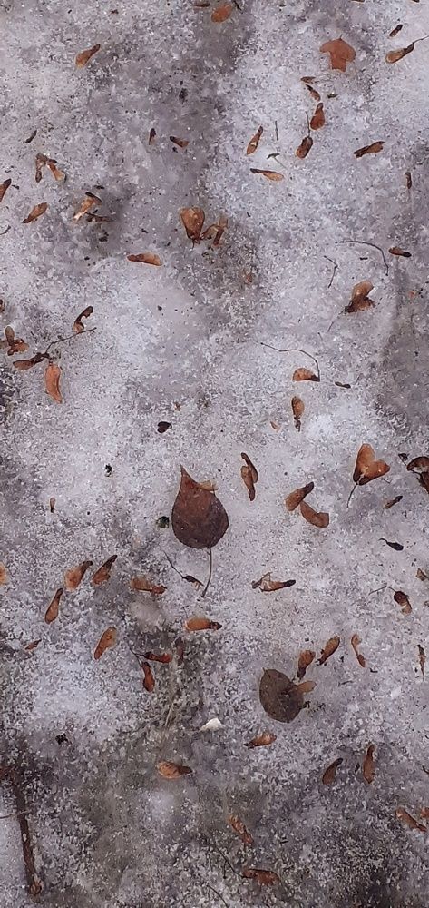 Photograph by Евгения Ульянова