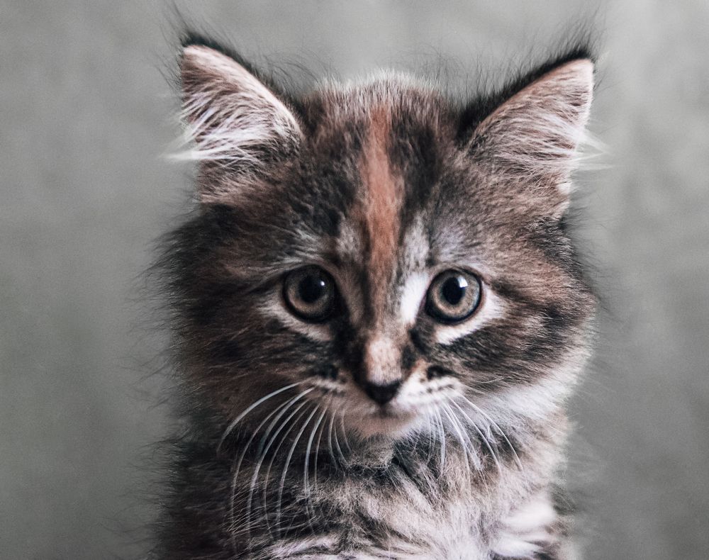 Photograph by Вера Лопатина