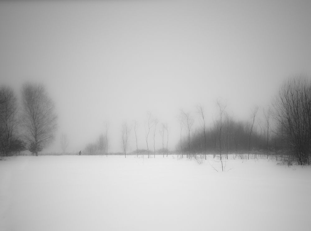 Photograph by Елена Можар