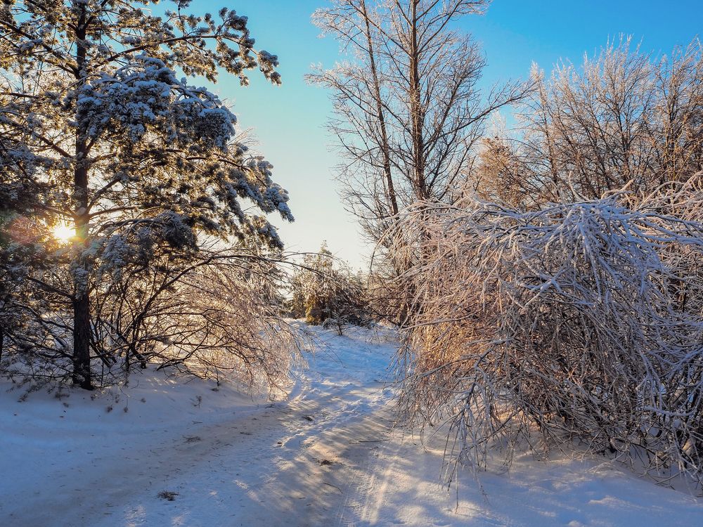 Photograph by Павел Бутко