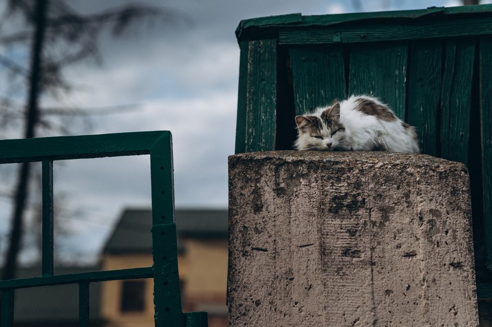 Photograph by Татьяна Позняк