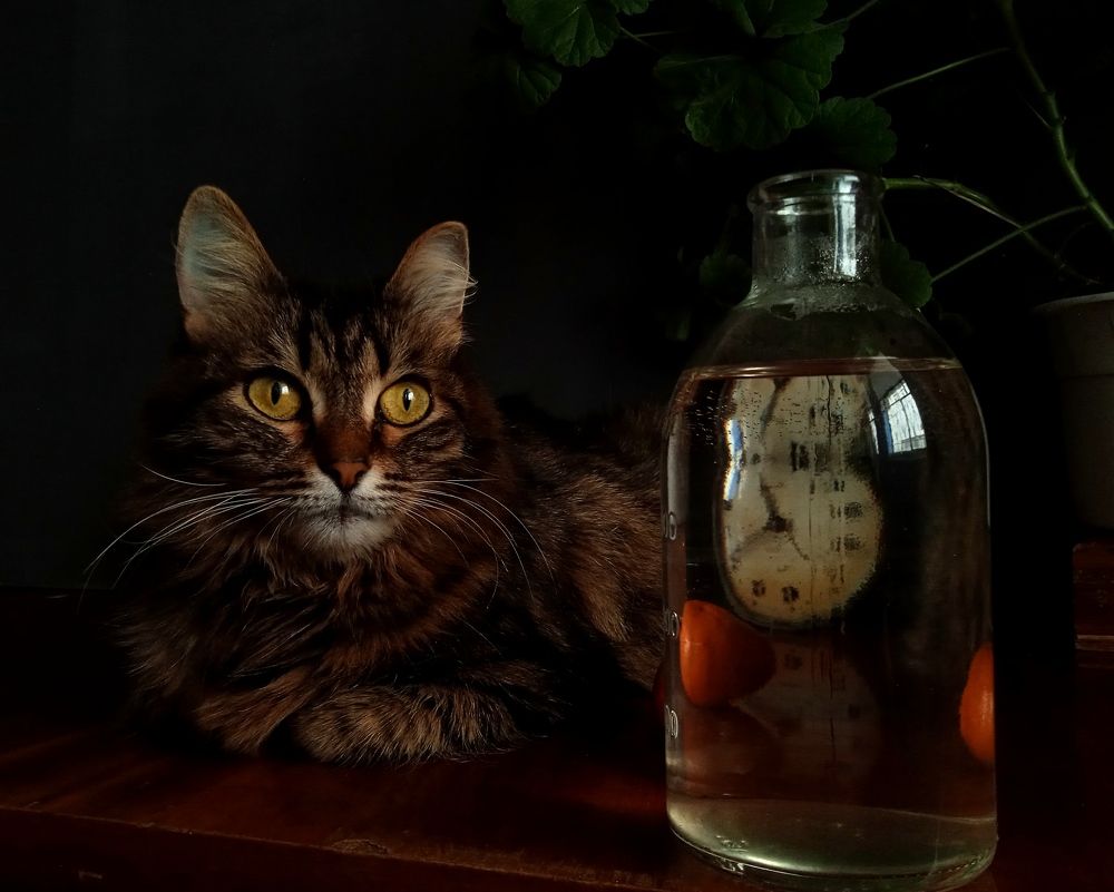 Photograph by Евсеева Валентина