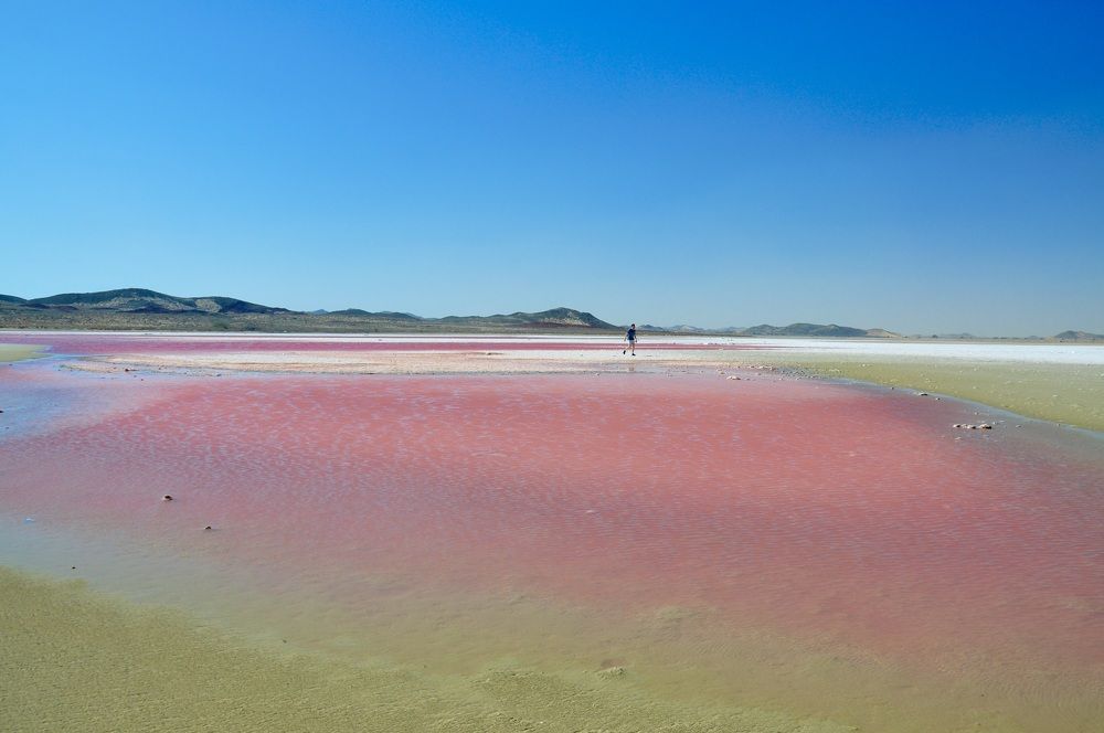 Oman's Pink Lake