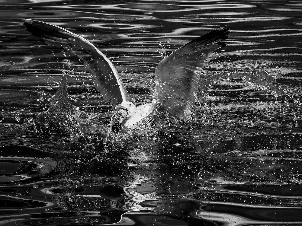 Photograph by Юлия Калугина