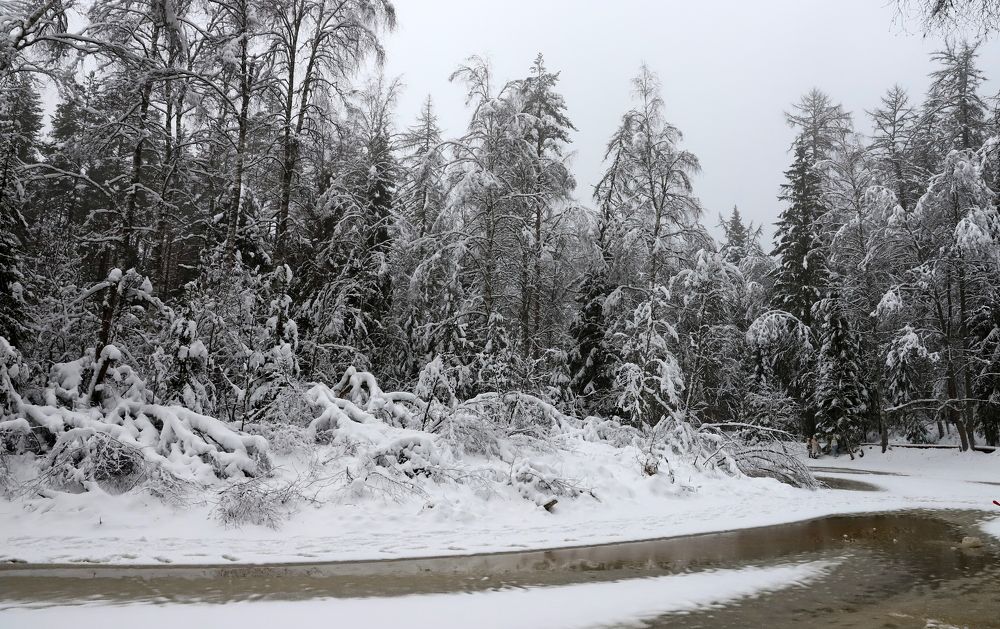 Photograph by елена