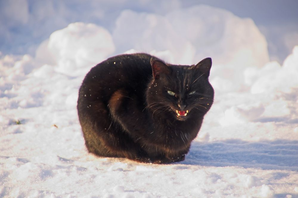 Photograph by Василий Быстрицкий