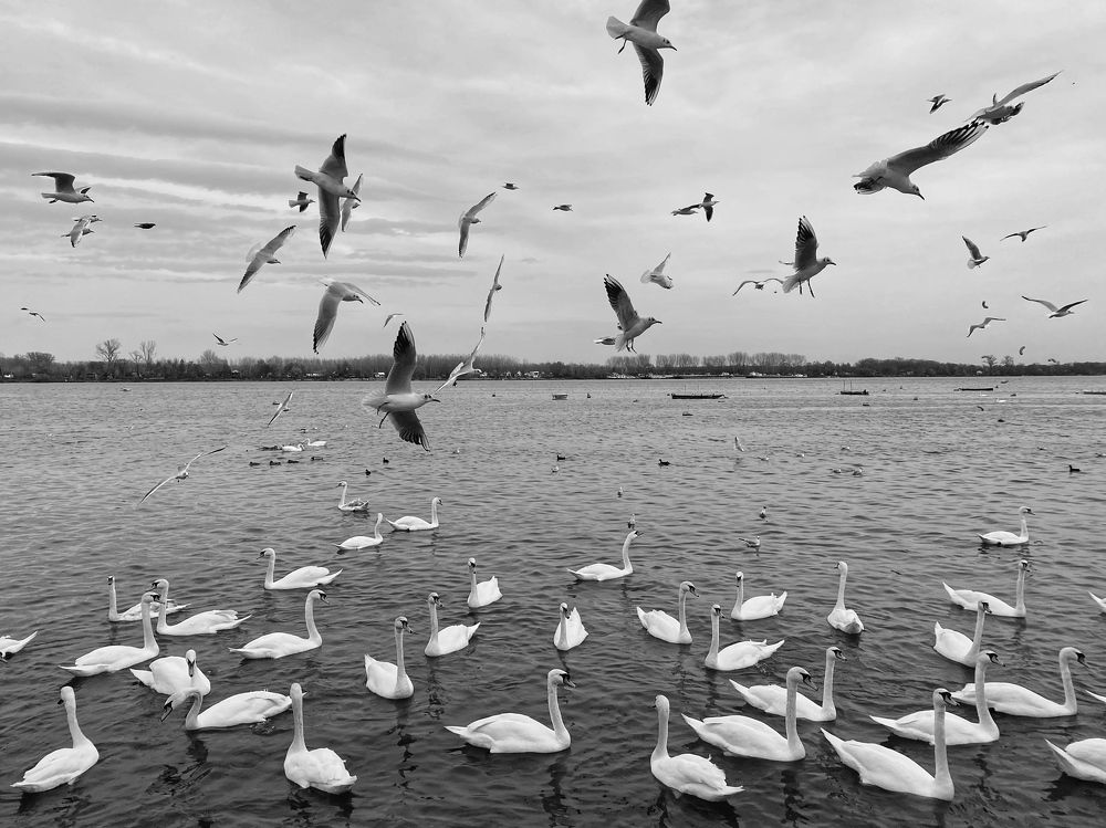 Photograph by Ильнар