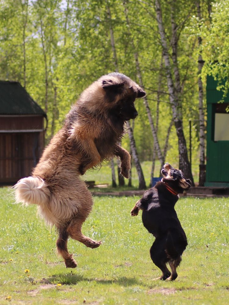 Photograph by Светлана Богомолова